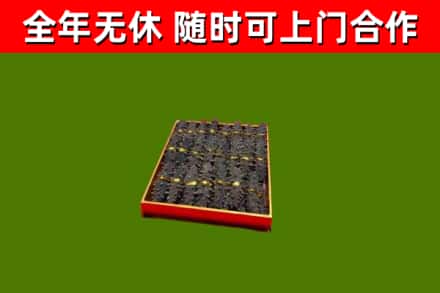 抚远回收海参